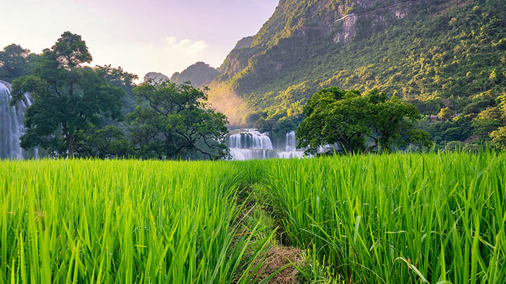 大理高端旅游全攻略，不踩坑的旅行指南